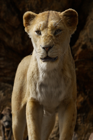 الفری وودارد