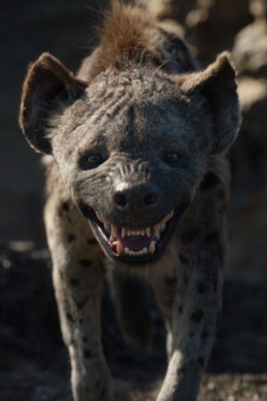 کیگان-مایکل کی