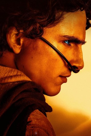 تیموتی شالامی