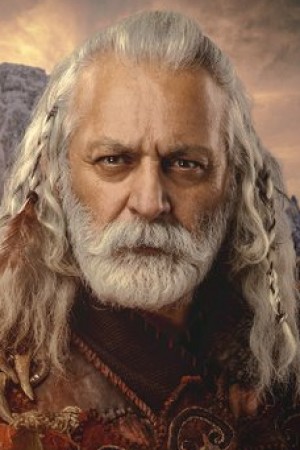 شاهین ارگونی