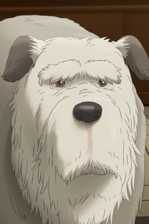 آکیرا ترائو