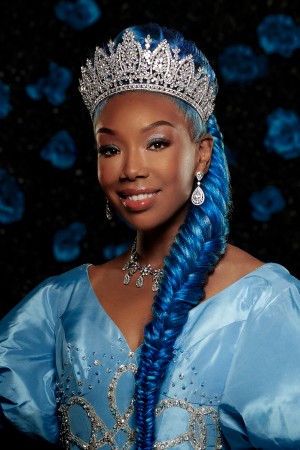 برندی نروود