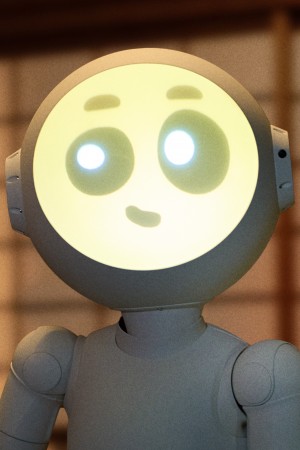 جوانا سوتومورا