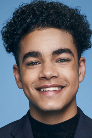 امیر ویلسون