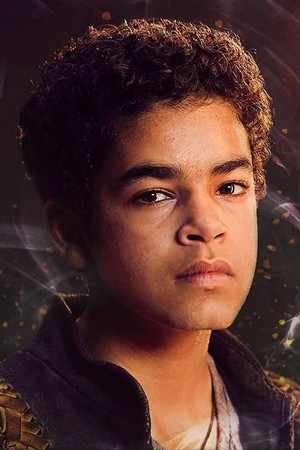 امیر ویلسون