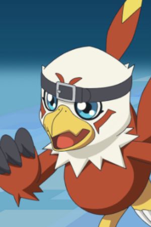 کویچی توچیکا