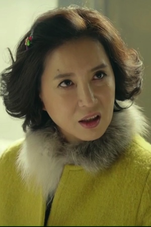 شیم هیه-جین