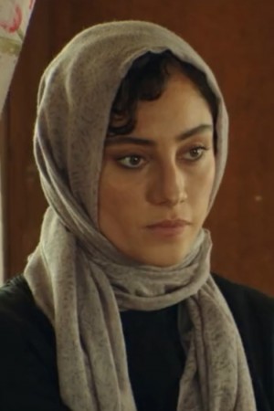 ترلان پروانه