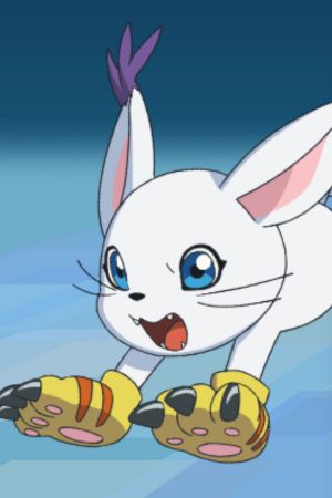 یوکا توکومیتسو