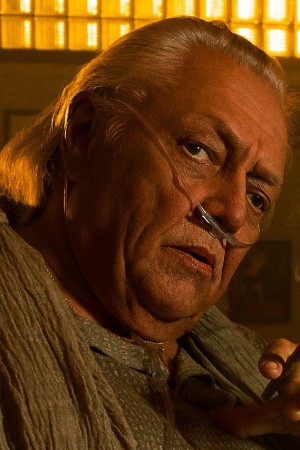 آلن پیترسون