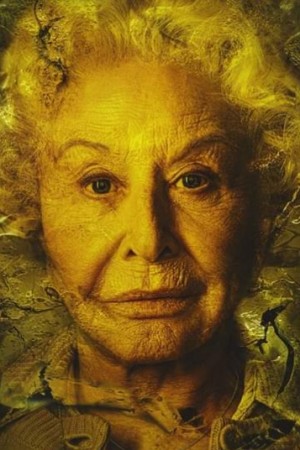 مایکل لرنید