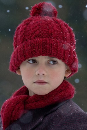 فنیکس لاروش