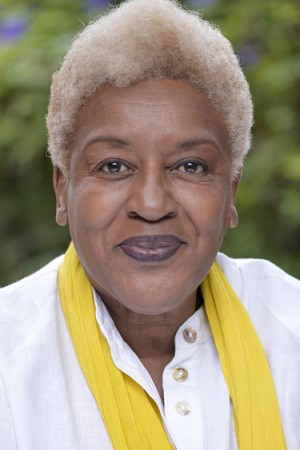 سی.سی.اچ. پاوندر