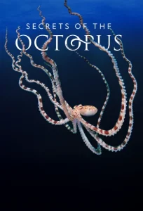 دانلود سریال رازهای اختاپوس Secrets of the Octopus 2024
