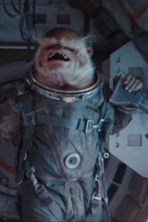 وارویک دیویس