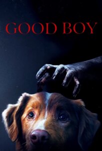 دانلود فیلم پسر خوب Good Boy 2025